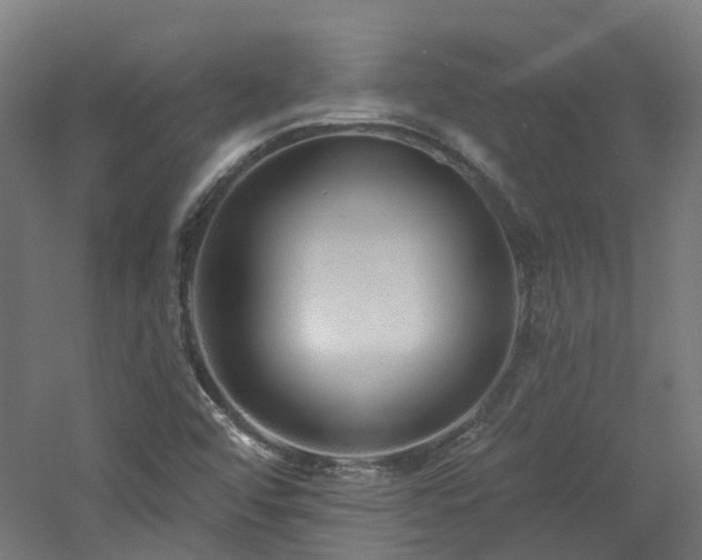 X0000060761456200511101127