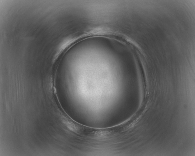 X0000060761461200511101127