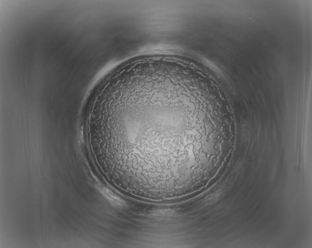 X0000060761462200511101127
