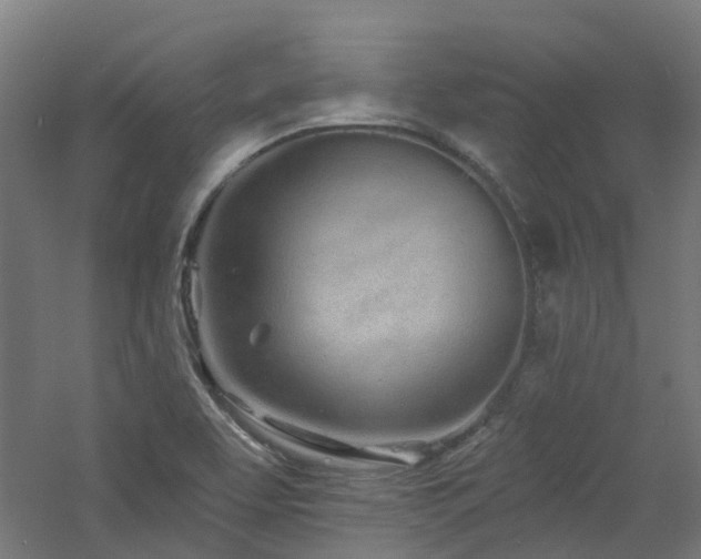 X0000060761463200511101127