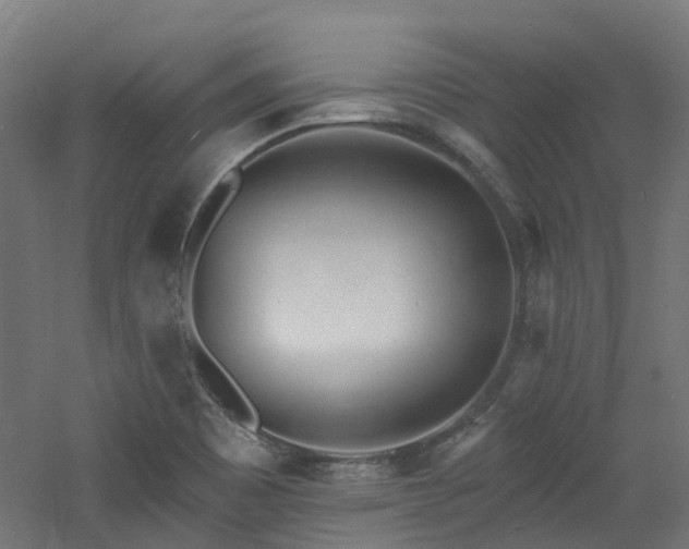 X0000060761465200511101127