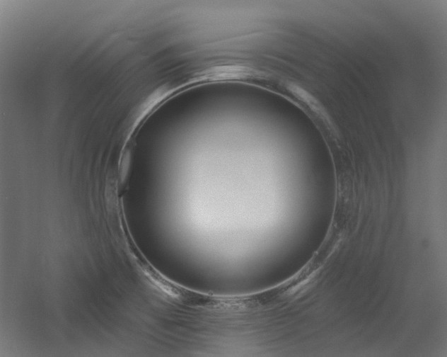 X0000060761473200511101127