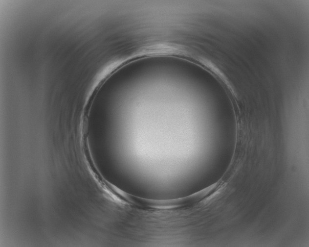 X0000060761477200511101127