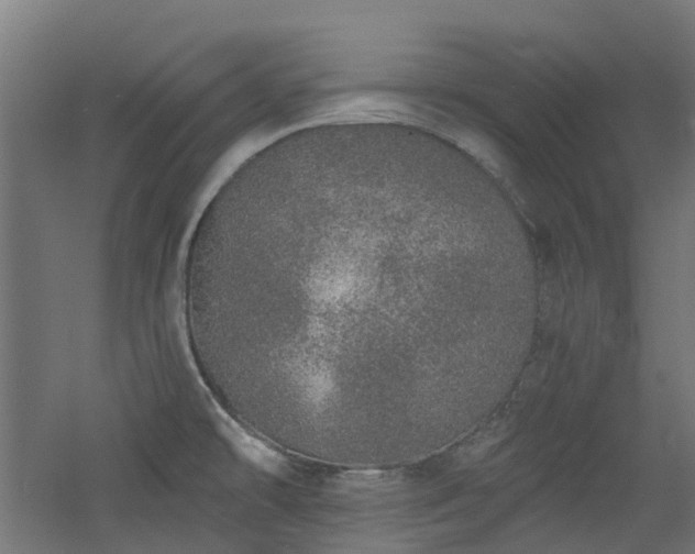 X0000060761478200511101127