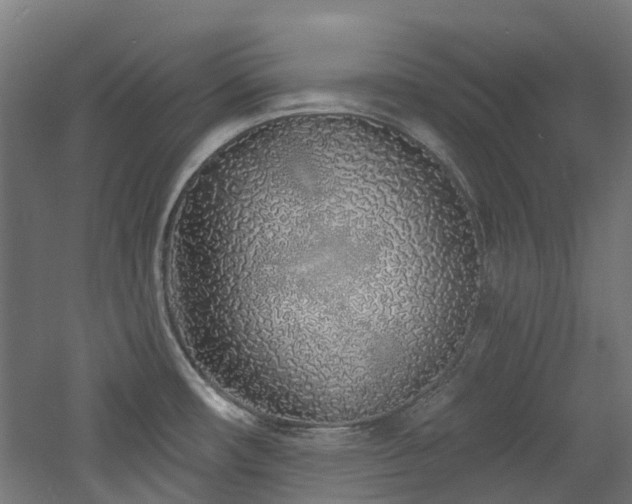 X0000060761482200511101127