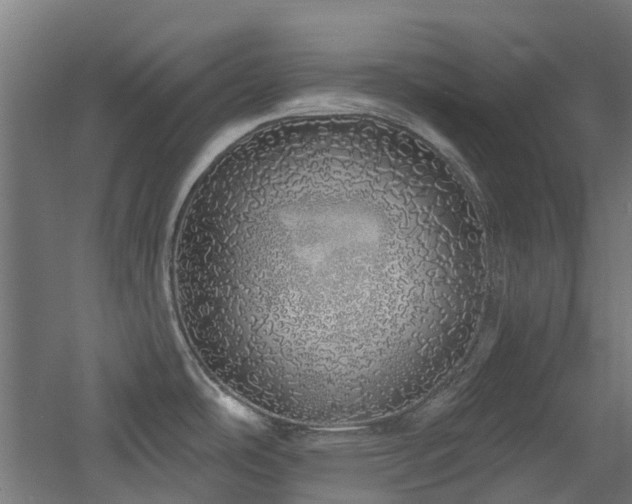 X0000060761486200511101127