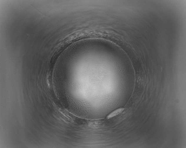X0000060761490200511101126