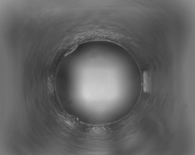 X0000060761491200511101126
