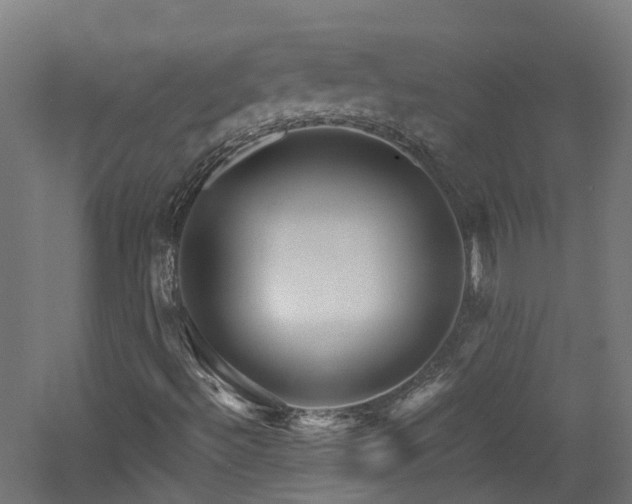 X0000060761492200511101126