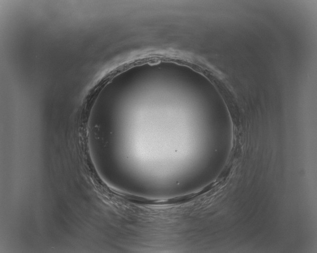 X0000060761496200511101126