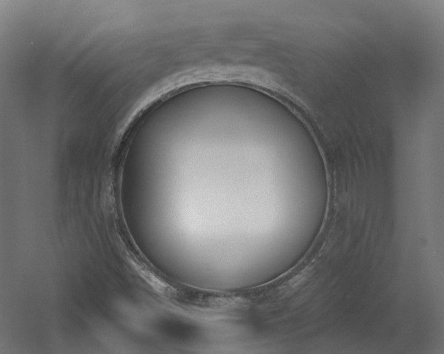 X0000060761498200511101126