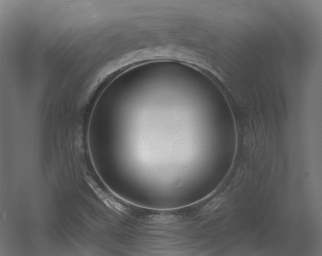 X0000060761499200511101126