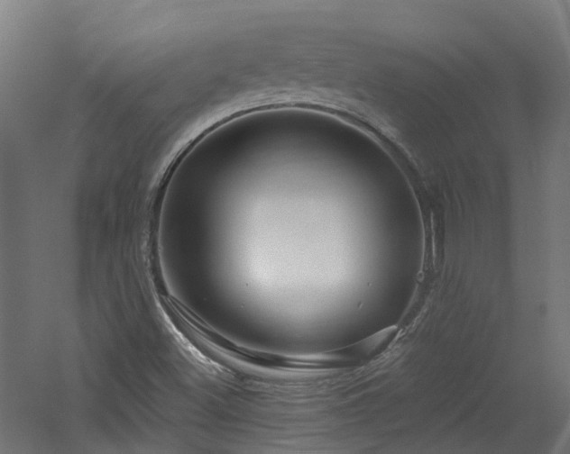 X0000060761500200511101126