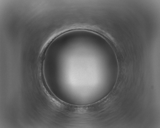 X0000060761504200511101126