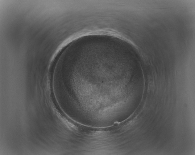 X0000060761506200511101126