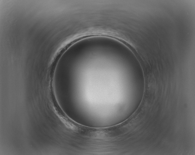 X0000060761507200511101126