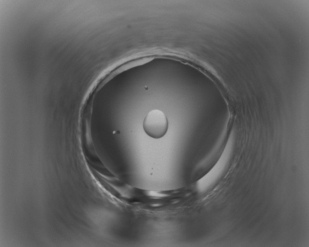 X0000060761508200511101126