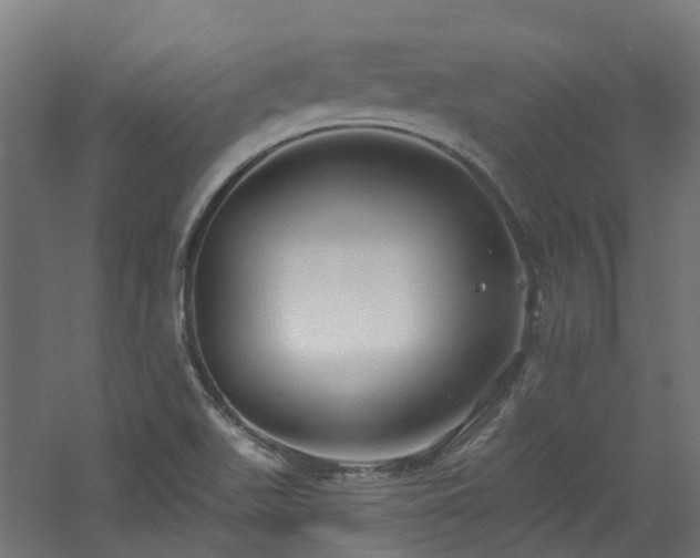 X0000060761511200511101126