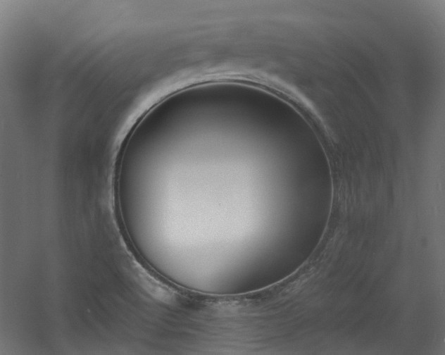 X0000060761512200511101126