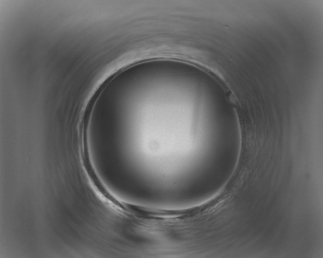 X0000060761515200511101126