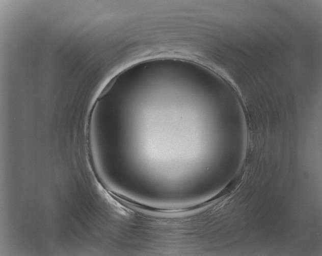 X0000060761532200511101127