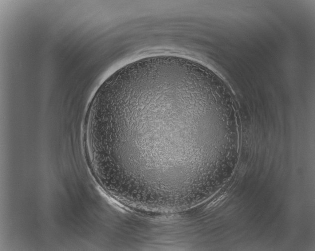 X0000060761535200511101127