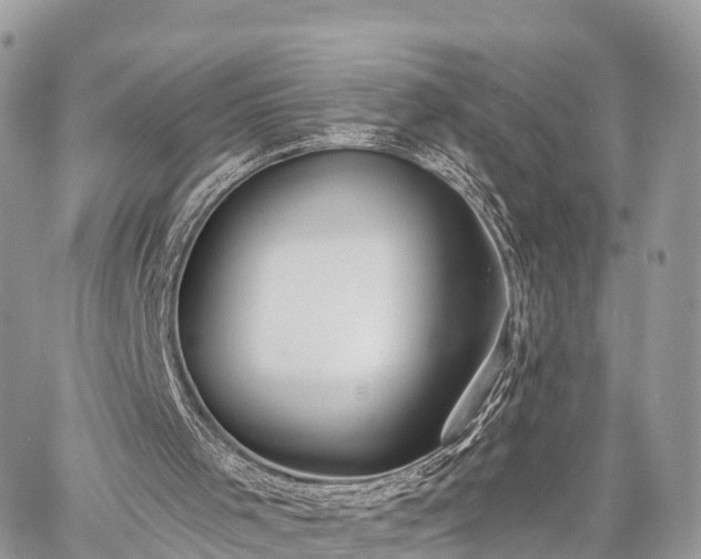 X0000060760001200511141243