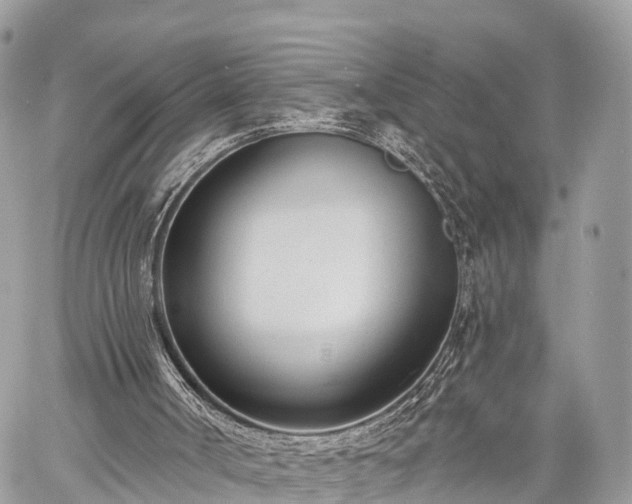 X0000060760002200511141243