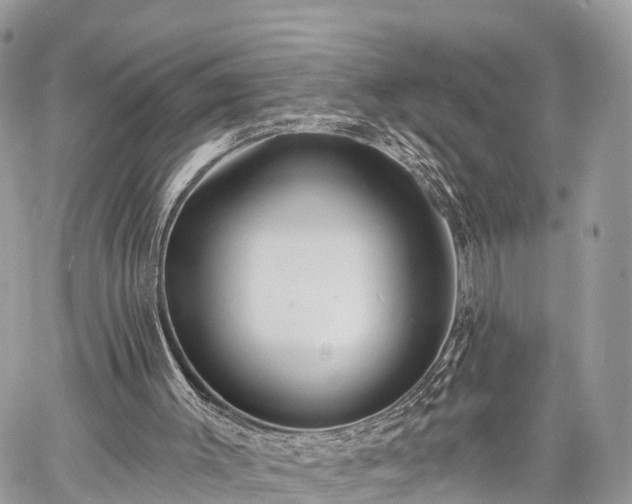 X0000060760003200511141243