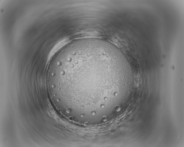 X0000060760004200511141243