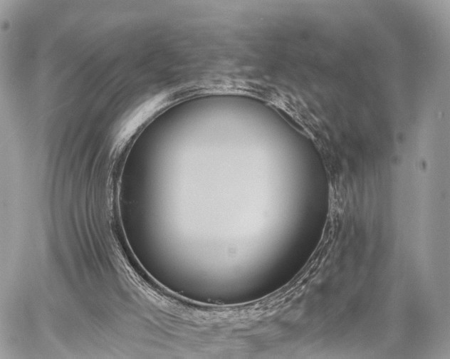 X0000060760005200511141243