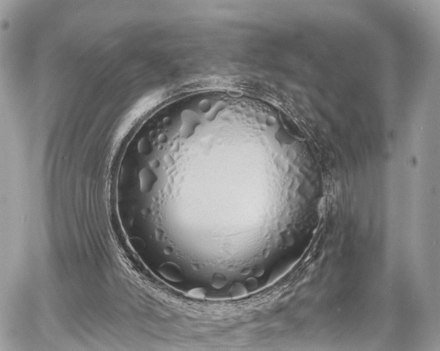 X0000060760006200511141243