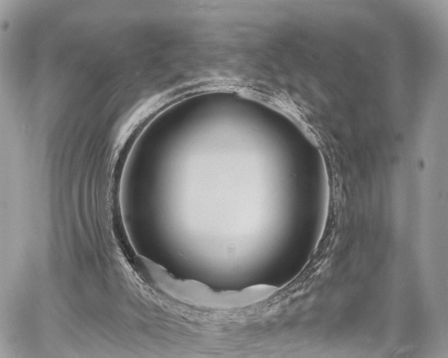 X0000060760007200511141243