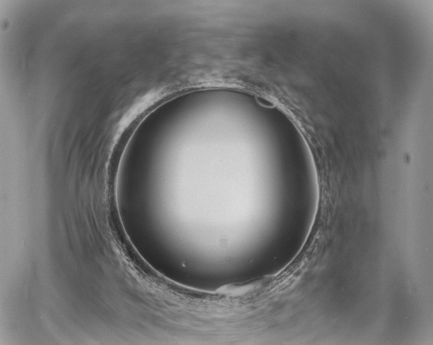 X0000060760008200511141243