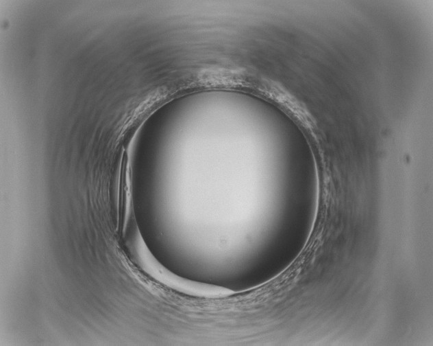 X0000060760009200511141243