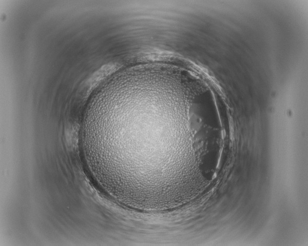 X0000060760010200511141243