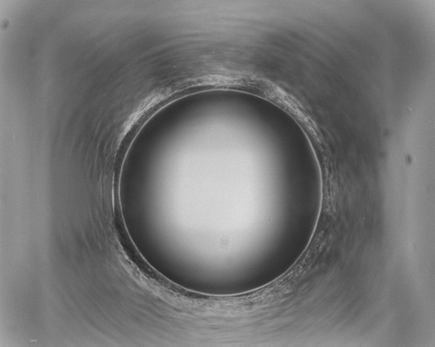 X0000060760011200511141243