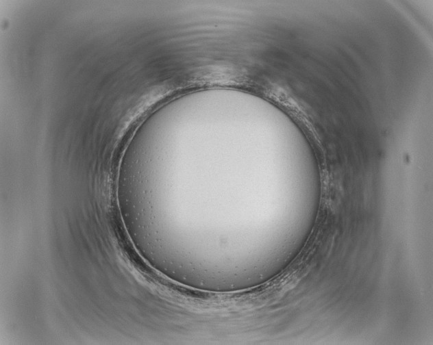 X0000060760012200511141243