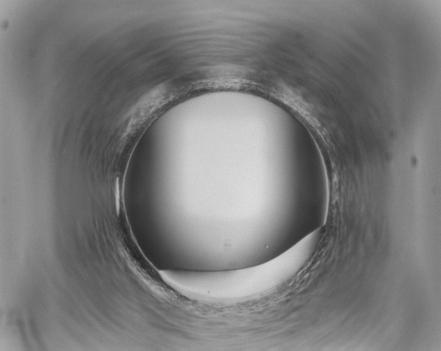 X0000060760013200511141243