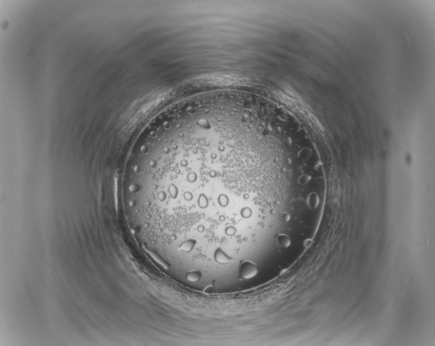 X0000060760014200511141243