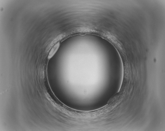 X0000060760015200511141243