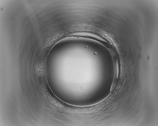 X0000060760017200511141243