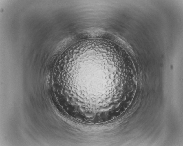 X0000060760018200511141243