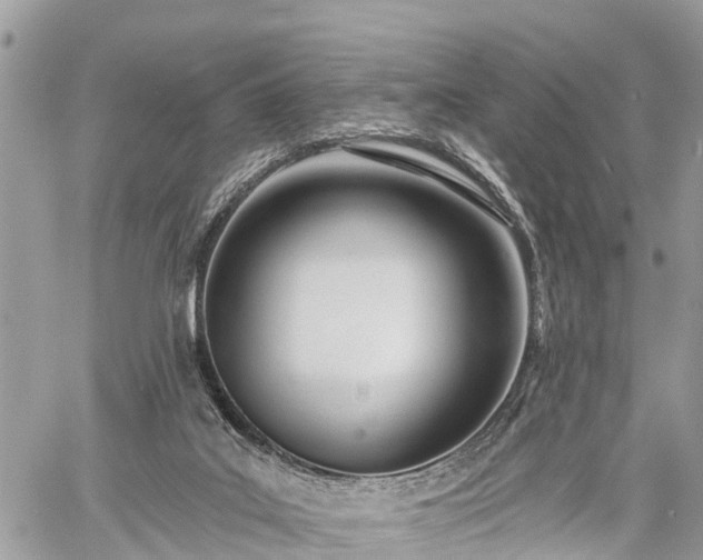 X0000060760019200511141243