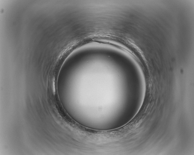 X0000060760020200511141243