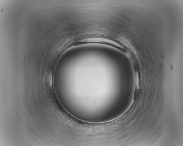 X0000060760021200511141243