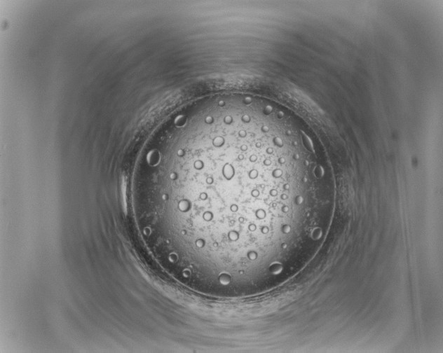 X0000060760022200511141243