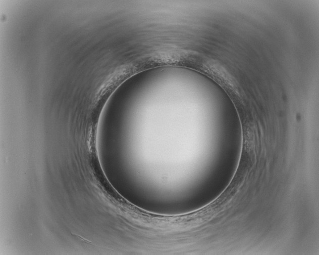 X0000060760023200511141243