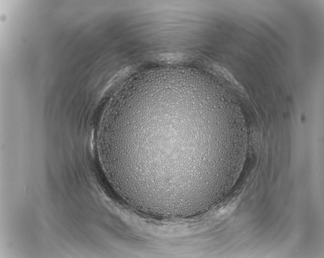 X0000060760024200511141243