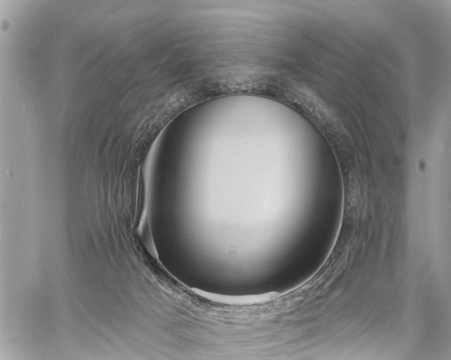 X0000060760025200511141243